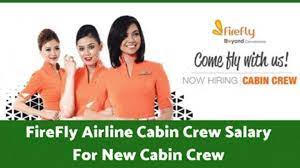 Hire and retain the best talent with accurate and reliable data. Firefly Malaysiaairlines Cabincrew Firefly Airline Cabin Crew Salary Details For Fresher