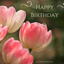 300 Great Happy Birthday Images For Free Download Sharing Happy Birthday Messages Happy Birthday Greetings Happy Birthday Flower