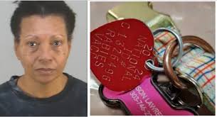 Sign: Justice For Dog Drowned in Airport Toilet by Owner