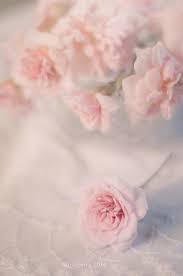 Check spelling or type a new query. 690 Pretty Pink Flowers Ideas In 2021 Flowers Pink Flowers Beautiful Flowers