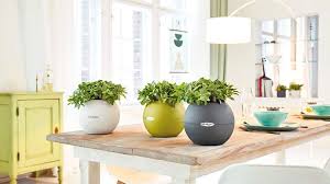 Da posizionare sempre in prossimità di finestre o lucernai, rigogliose sempreverdi tropicali o delicati fiori stagionali sono ancora più belli se disposti con garbo e cura in portavasi da interno eleganti e dal design originale. Home Decor Nadalini Flor Decorazione Interni Con Vasi Piante E Fiori