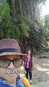 #ToGodBeTheGlory #beautifulview #naturelovers #600years balete tree