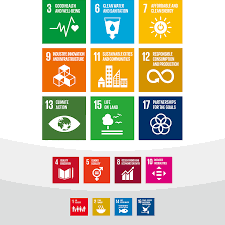 Relationship With Sdgs Canon Global