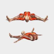 Dream Yoga Yogaposes Yoga Anatomy Yoga Muscles Yoga Postures