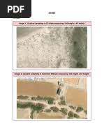 Image result for Allophylus fulvotomentosus