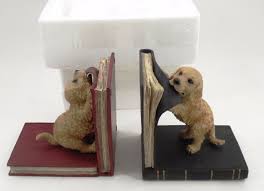 Pin On Reading Is Fundamental