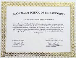 The right training program is a tool that will teach you the techniques you will need to secure a happy & amazing career as professional pet groomer. How To Become A Dog Pet Groomer Career Salary Training 2021 Updated