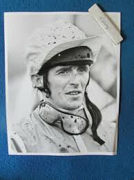 Original Horse Racing Press Photo