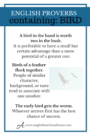 Birds Of A Feather Flock Together Meaning In English How To Learn And Remember English Words Learn English Vocabulary English Vocabulary Words Learn English