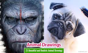 Unless you can prove me wrong. 25 Beautiful And Realistic Animal Drawings Around The World