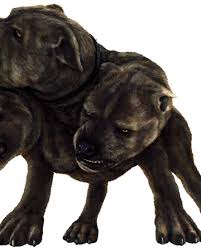 Maybe you would like to learn more about one of these? Three Headed Dog Harry Potter Wiki Fandom