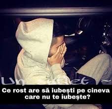 Vă prezentăm o rețetă rapidă de vinete umplute cu carne în sos de roșii. Povesti Triste Si Adevarate Publicaciones Facebook