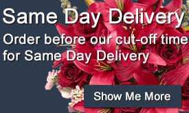 Maybe you would like to learn more about one of these? Flowers From 2 402 Flowers Online Japan Jp Jpy En