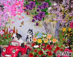 Download 879 free dog icons in ios, windows, material, and other design styles. A Dog Driving A Car A Dog Barking Flowers Trees Butterflies And A Bitd Picmix
