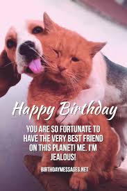 Best friends quote, birthday quotes, friendship quotes. Funny Birthday Wishes Quotes Funny Birthday Messages
