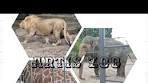 Artis Zoo| Amsterdam| YayraRose - YouTube