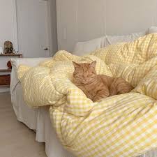 Pin By Serap On Animals In 2020 Aesthetic Bedroom Room Inspo Aesthetic Rooms