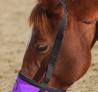 Amazon.com: Harrison Howard Horse Muzzle Feed Bag Nylon Mesh ...