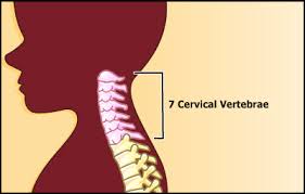 Learn the anatomy of the compartments of the neck with this quiz, video, articles. Magnetic Resonance Imaging Mri Cervical Spine For Parents Nemours Kidshealth