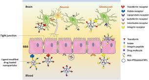 Looked up reviews, and saw it was mentioned in some legit publications back . Targeting Receptor Ligand Chemistry For Drug Delivery Across Blood Brain Barrier In Brain Diseases Sciencedirect