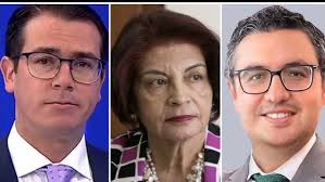 Karla Pinto Constituyente