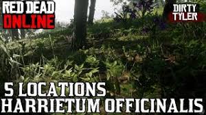 All Lost Jewelry Locations Cycle 4 For Madam Nazar Collection Red Dead Online Rdr2 Ø¯ÛŒØ¯Ø¦Ùˆ Dideo