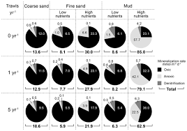 My journal kelas 8 chapter 9. Bg Relations Carbon And Nitrogen Turnover In The Arctic Deep Sea In Situ Benthic Community Response To Diatom And Coccolithophorid Phytodetritus