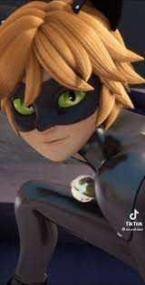 Ae Catnoir Video In 2021 Miraculous Ladybug Movie Miraculous Ladybug Miraculous Ladybug Comic