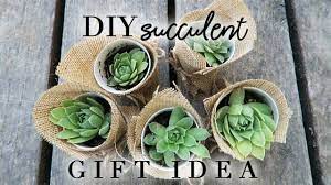Each sheet measures 50cm x 70cm and will be sent to you folded. Succulent Gift Idea Diy Summer Craft Youtube