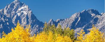 On average, 400 inches of powder fall on 5,850 skiable acres. The Best Things To Do During Fall In Big Sky Mt The Wilson Hotel
