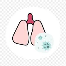 Pin On An Idea Board