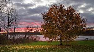 Sunset or history cruise for two. Rochester Mi Usa Sunrise Sunset Times