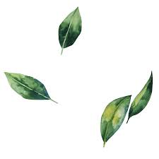 Find everything from funny gifs, reaction gifs, unique gifs and more. Falling Leaves Sticker By Lloyd S Inn For Ios Android Giphy