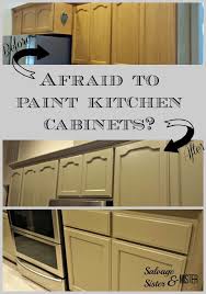 Are You Afraid To Paint Your Kitchen Cabinets Painting Kitchen Cabinets Kitchen Paint Kitchen Cabinets