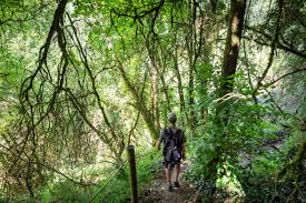 Skorzystaj z dogodnych ofert zakwaterowania. Week End Nature Dans Les Gorges De L Aveyron