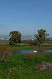 Rezervații naturale în lumemodificare . RezervaÈie NaturalÄ Wikipedia