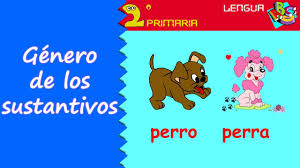 Resultado de imagen de el genero de los numeros el nombre masculino y femenino 2Âº primaria