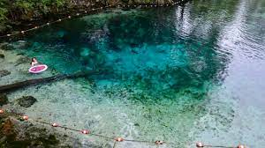 The florida department of environmental protection took over. Fanning Springs State Park Swimming Paddling Hiking Camping Florida Hikes
