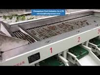 herb root grading sorting machine, medicine root sorting machine, root grader