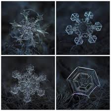 Snowflakes Under A Magnifying Glass By Alexey Kljatov Snowflake Images Snow Crystal Snowflakes Real