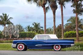 Image result for Brainard Blue 1959 Datsun