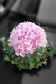 Autodekoration Fur Hochzeitsfest Selber Machen Auto Dekoration Autodeko Hochzeit Hochzeit Floristik