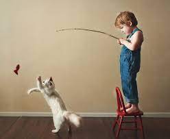 Animals & pets cat jumping cat jump cat in slow motion. 179 Heartwarming Photos Of Kids Playing With Their Cats Bored Panda