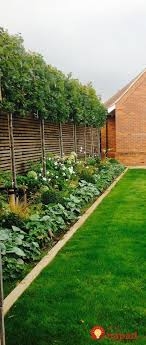 Sie Mochten Den Platz Am Zaun Wirklich Nutzen Wir Haben Eine Schone Idee Fur Sie Mochten Den Platz Am Zaun Wirklich Nutze Zaun Garten Gartengestaltung Garten