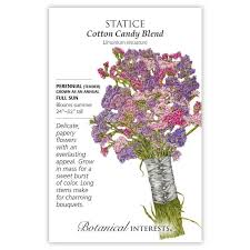 Cotton Candy Blend Statice Seeds Dried Flower Arrangements Flower Seeds Dried Flowers