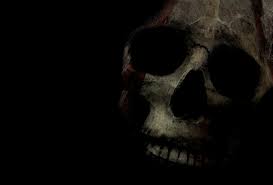 Check spelling or type a new query. 75 Black Skull Background On Wallpapersafari
