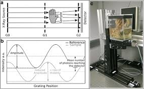 A phase detector is basically an rf mixer that multiplies the two input signals and yields their figure 5.4.7 shows the block diagram of jitter measurement setup based on a phase detector. Simultaneous Wood And Metal Particle Detection On Dark Field Radiography European Radiology Experimental Full Text