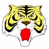 Disegno Di Maschera Uomo Tigre A Colori Cartoni Animati Disegni Disegni Da Colorare