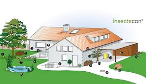 Mause Vertreiben Tipps Vom Kammerjager