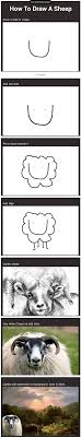 How To Draw A Sheep Check Similar Images On Feedinco Com Funny Pictures Funny Memes Bones Funny